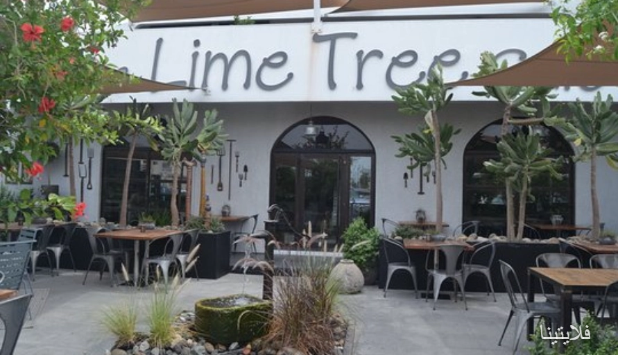 dubai-lime-tree-cafe